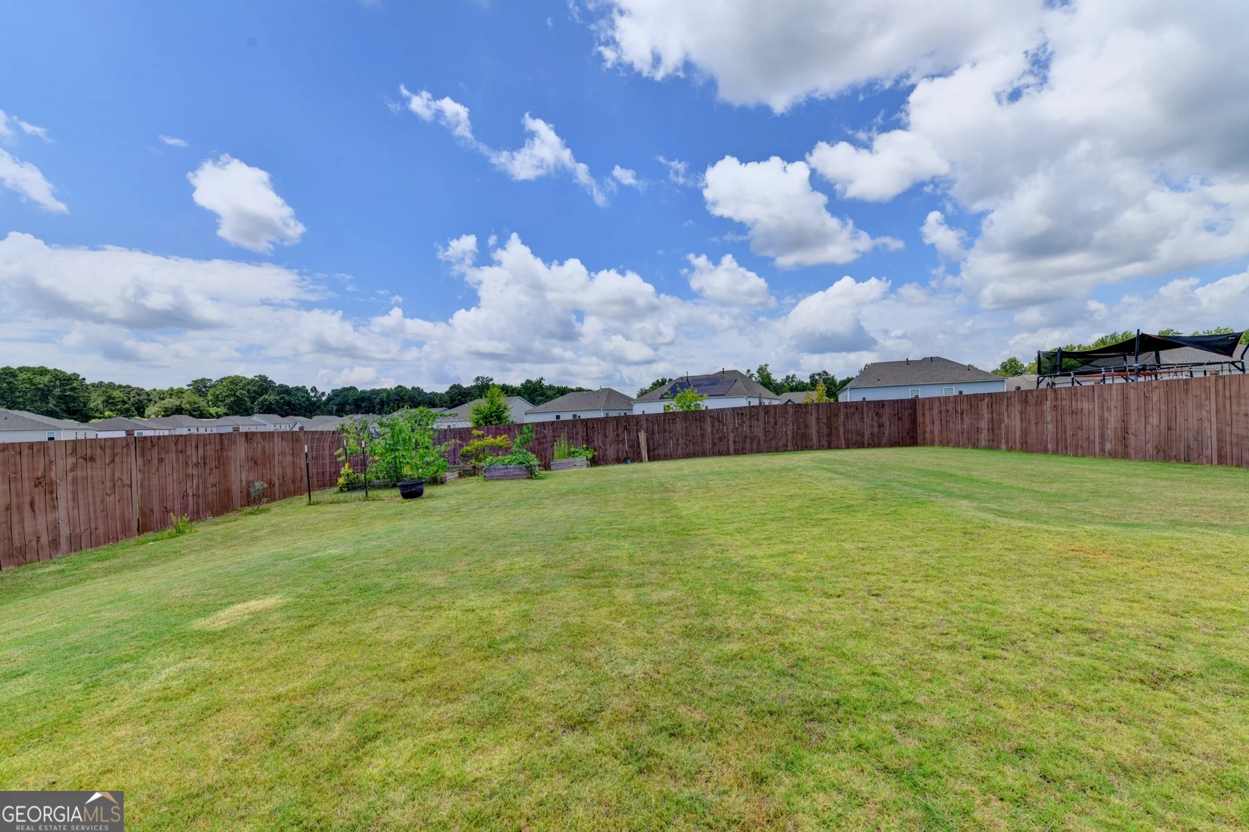 Fenced backyard lawn